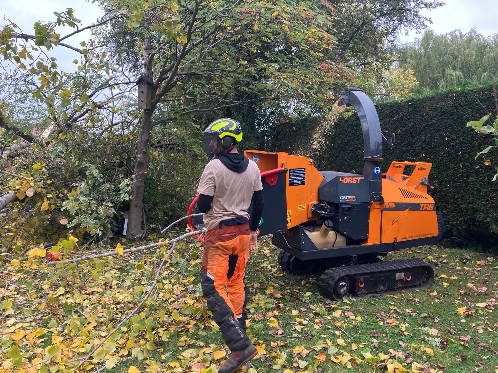 Poplar removal in Cropwell Bishop — photo 4