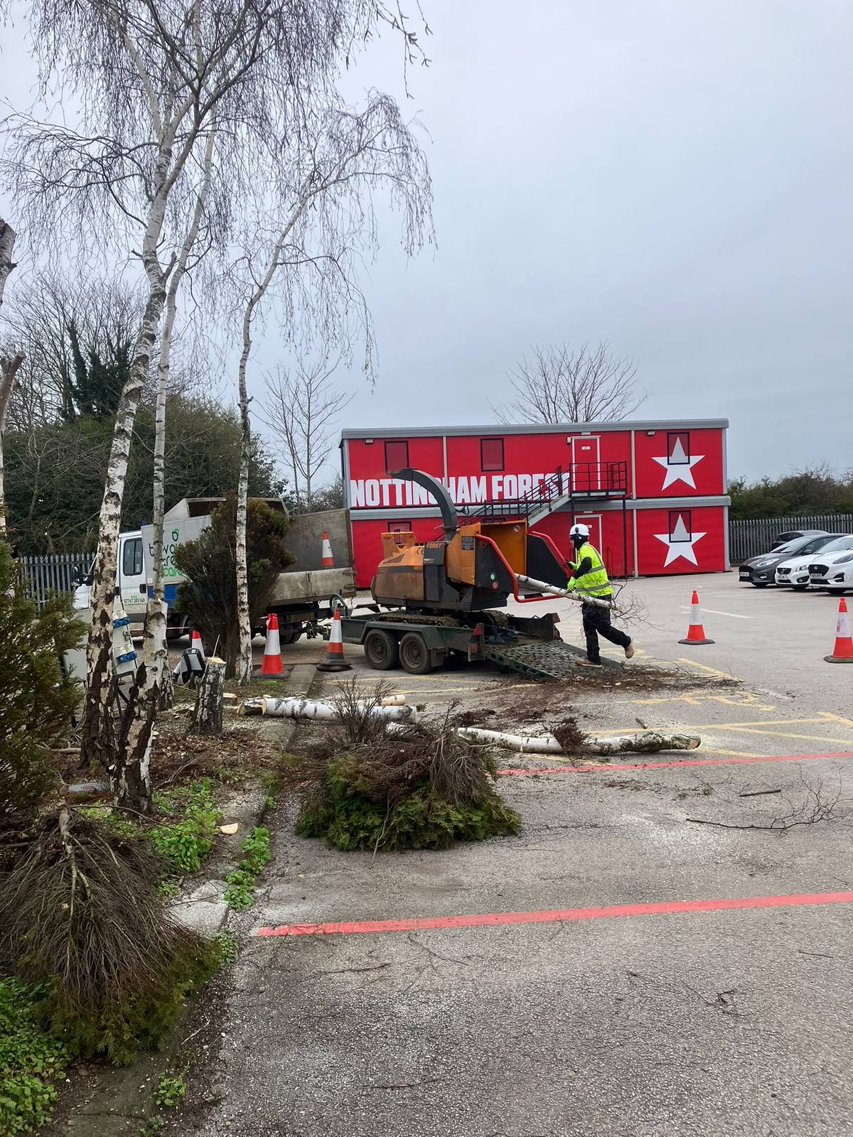 Tree work at Nottingham Forest training ground — photo 3