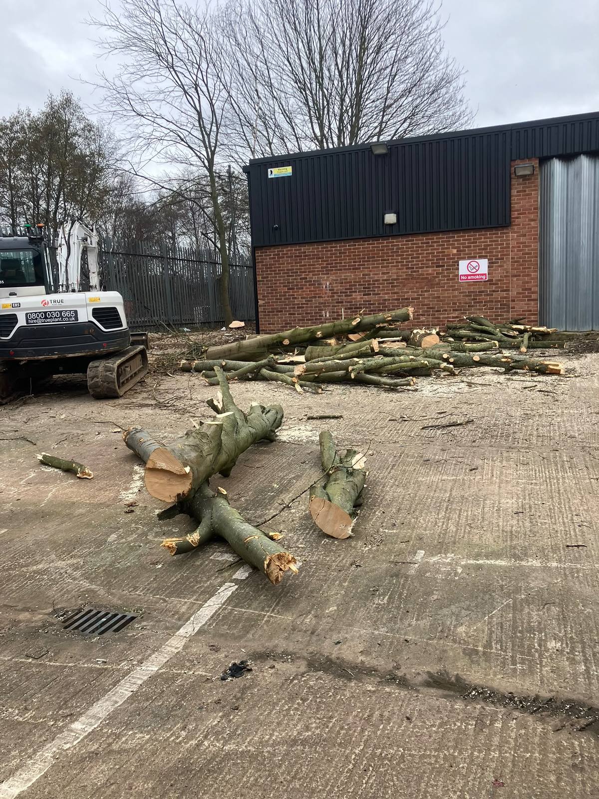 Commercial tree removal beside the railway in Leicester — photo 3