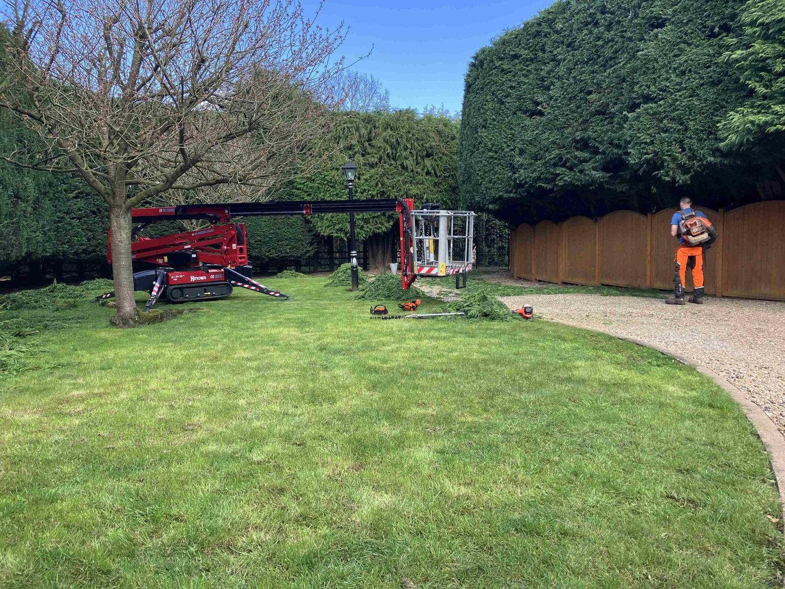 Tracked cherry picker and worker maintaining a tall evergreen hedge